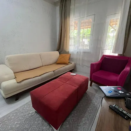 A New House With Garden In Center *