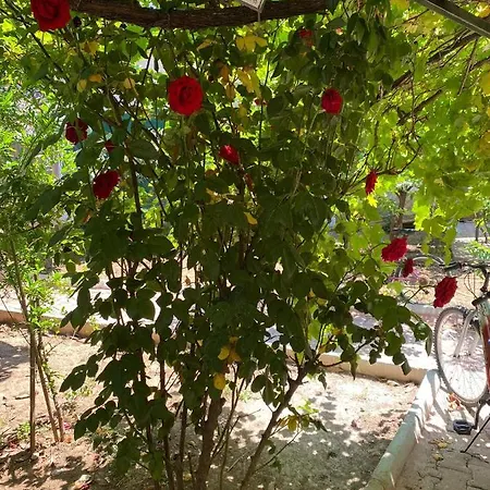 A New House With Garden In Center * Antalya